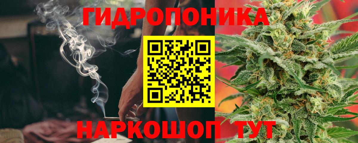 Марихуана Amnesia Можга